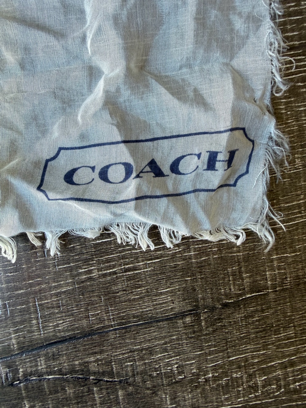 Coach Light Blue Plaid Cotton Silk Blend Fringed Scarf